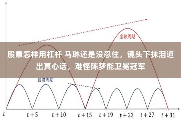 股票怎样用杠杆 马琳还是没忍住，镜头下抹泪道出真心话，难怪陈梦能卫冕冠军