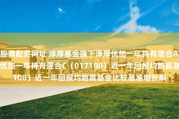 股票配资网址 淳厚基金旗下淳厚优加一年持有混合A（017107)、淳厚优加一年持有混合C（017108）近一年回报均跑赢基金比较基准增长率